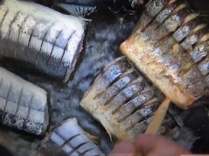 きょうの料理ビギナーズ さんまの照り焼き