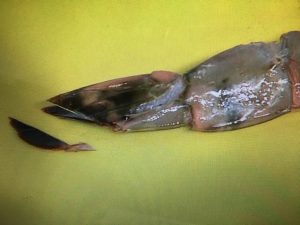 上沼恵美子のおしゃべりクッキング 海老フライとタルタルソース