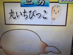 ガッテン レンコン