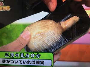 ガッテン レンコン