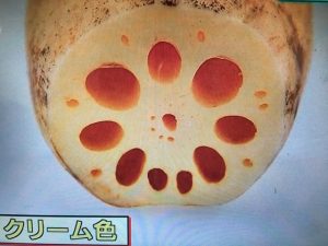 ガッテン レンコン