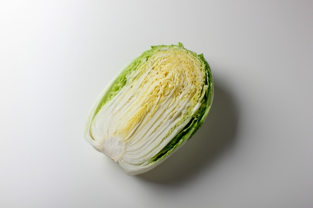 白菜 栄養価 画像
