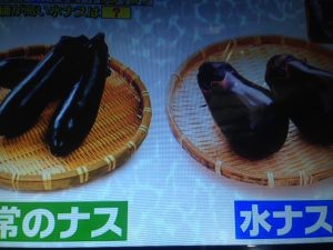 ジョブチューン 水なす