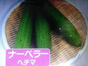 めざましテレビ 沖縄料理