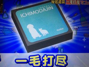 家事えもんの掃除術~じゅうたんの汚れを取る一毛打尽がスゴイ!