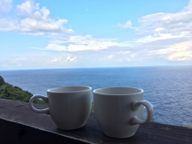 林修の今でしょ講座 コーヒー＆緑茶 画像