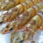 モニタリング 平野レミ エビの殻 出汁スープ レシピ 画像