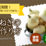 ごごナマ 酢玉ねぎ 作り方 レシピ 画像