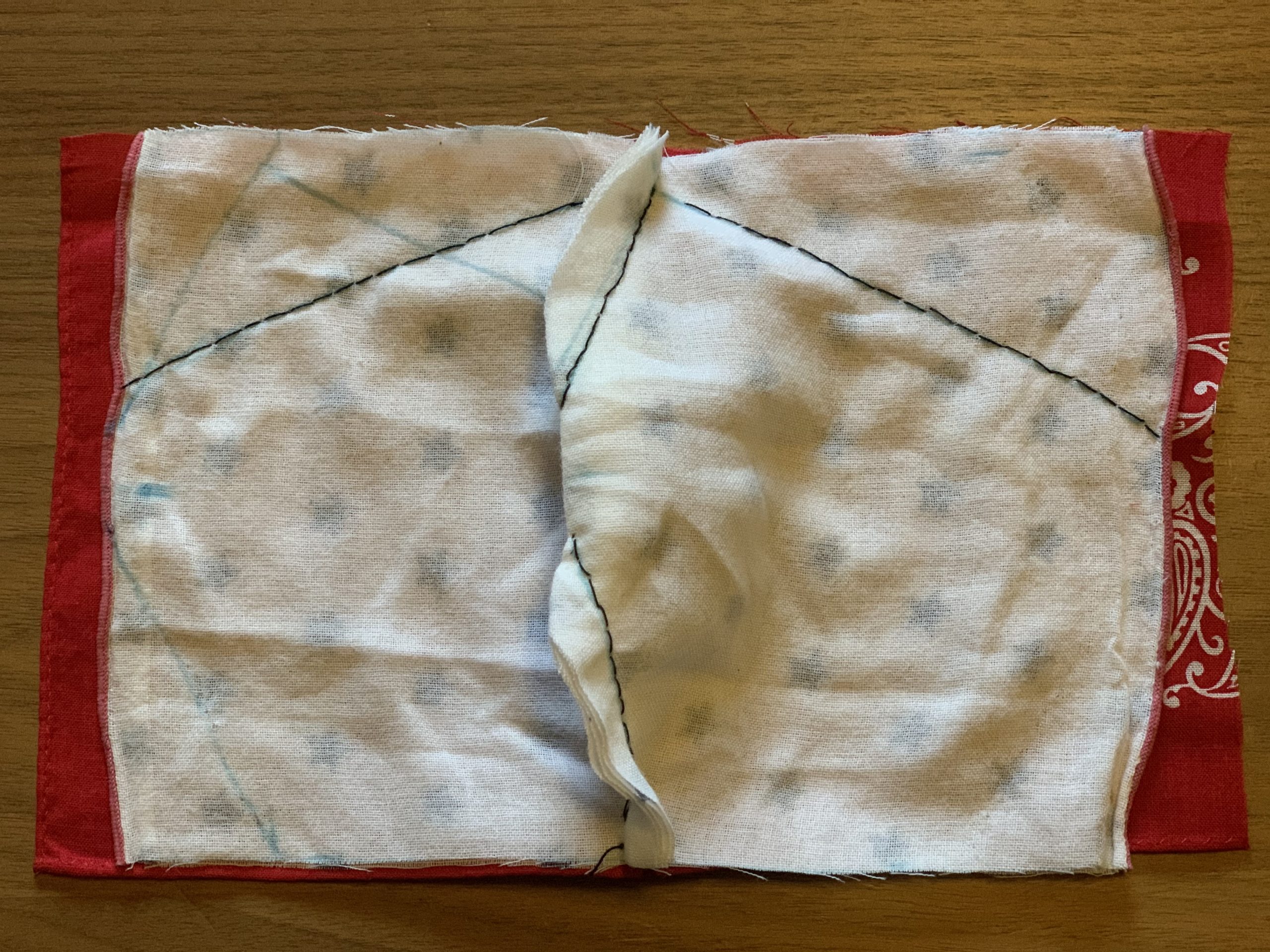 手作りマスクの作り方 簡単 画像